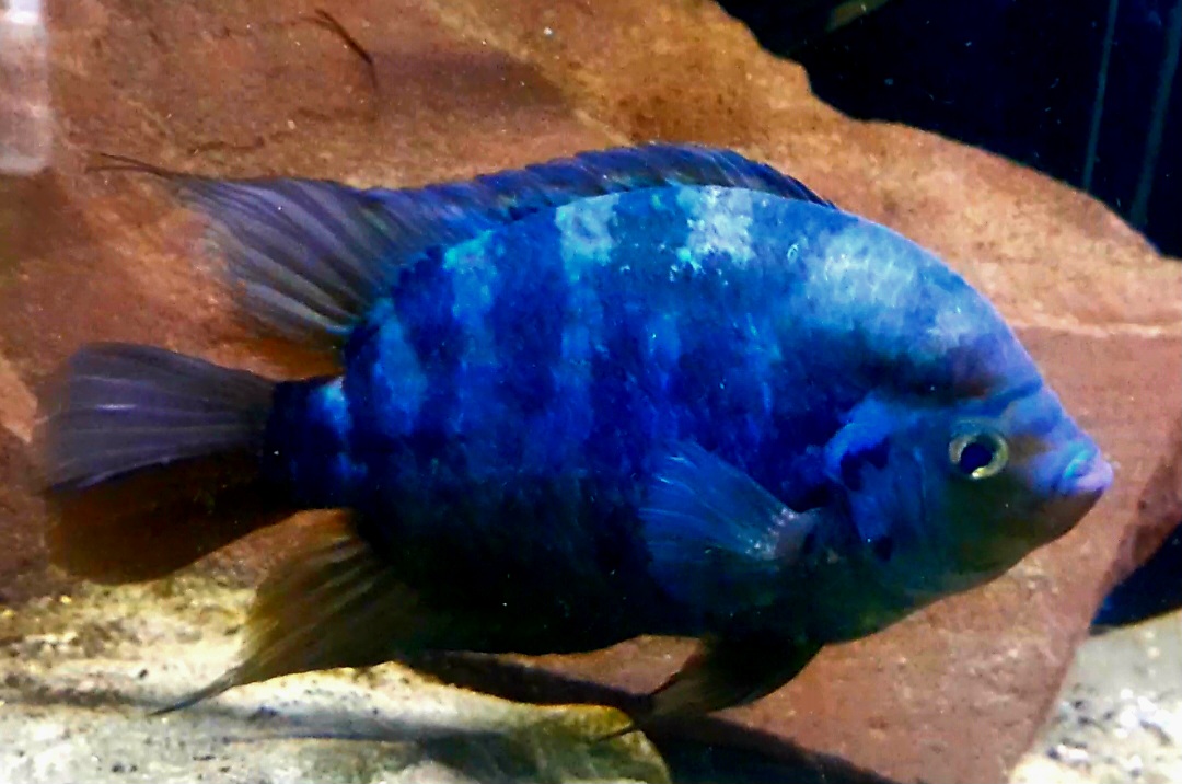 Screenshot 20260328 133603 Video Player