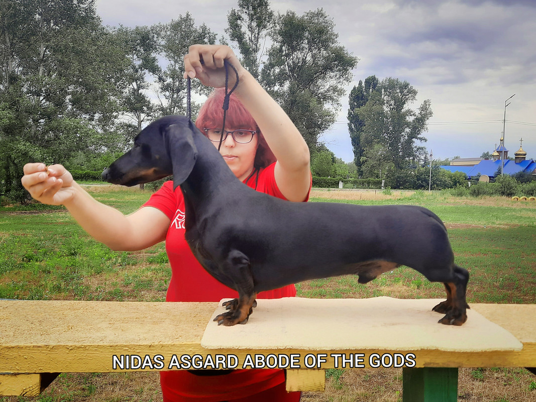 IMG_20221029_000740_374