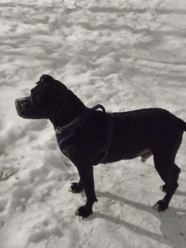 27DC2829-B2D0-4770-AB16-9FEA04200472