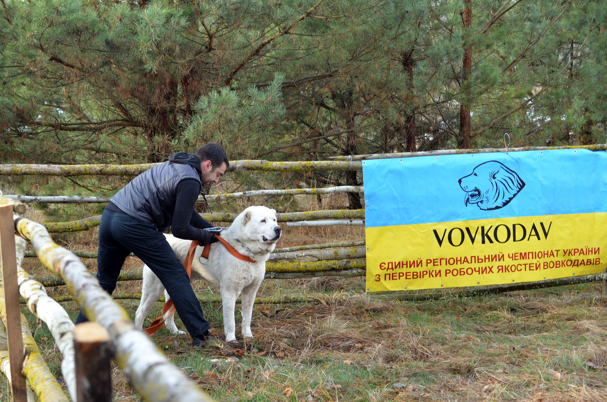 Самурыч-Уран (1)