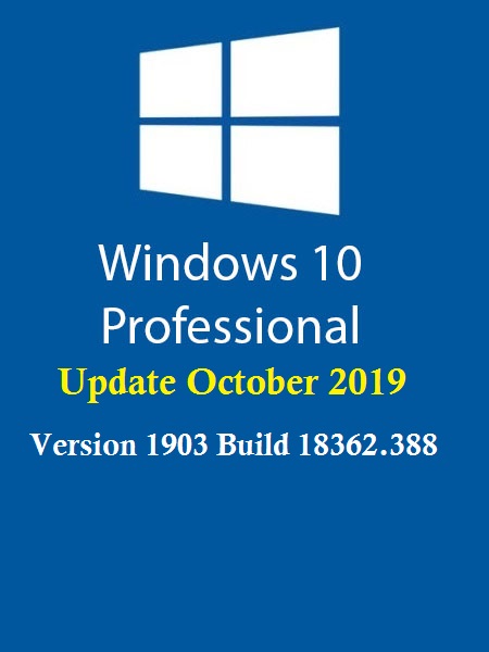 Win 2 - Windows 10 Professional 19H1 Multi-24 (x64) October 2019