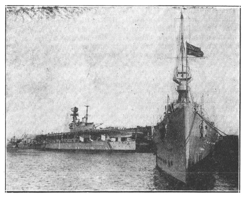 3-pto nuevo eagle achatestomo048_p01(7)-crop1