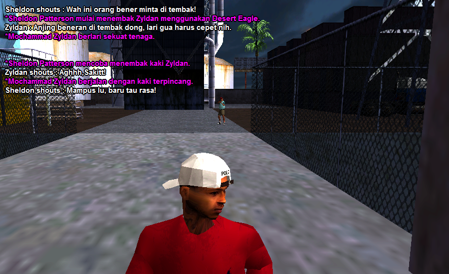 SS12.png