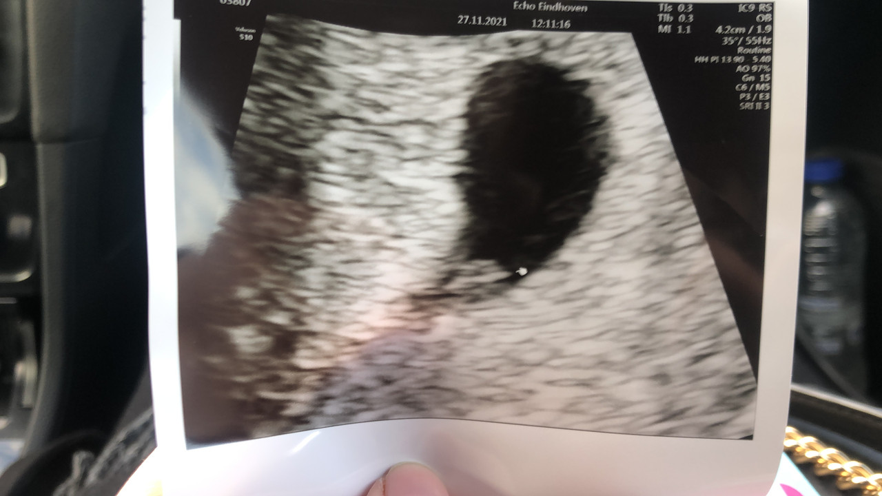 E06E3907-4B08-4EE9-A8E2-558C021C9D8B