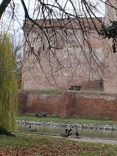 Slika