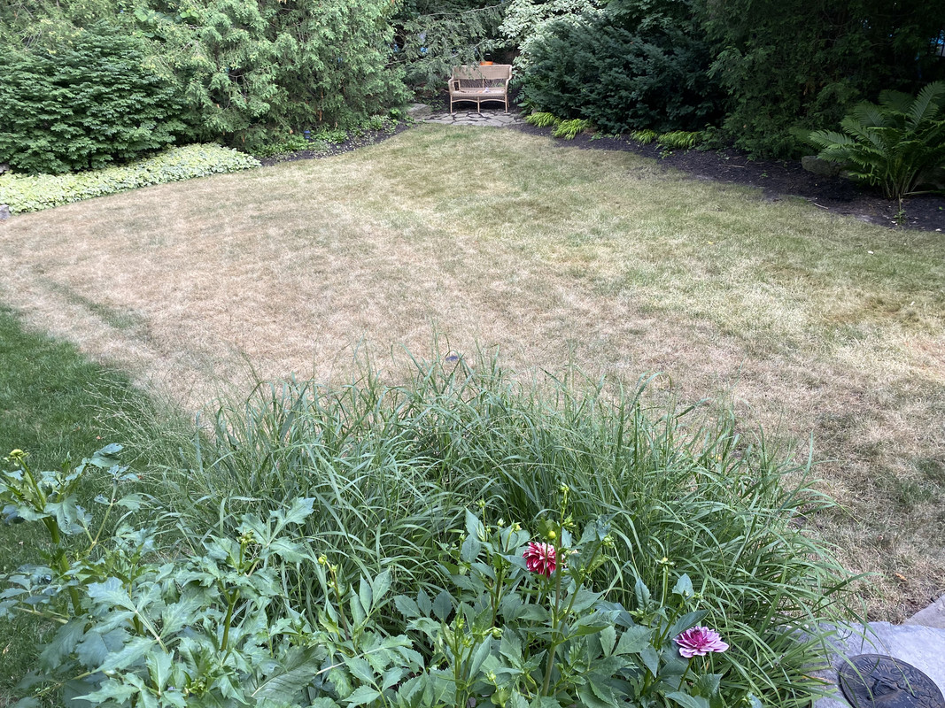 E4B2D66D-4E0D-43C2-B2C5-B4356FC45246