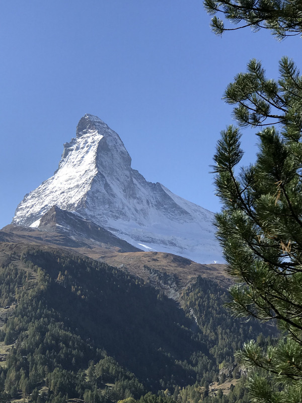 585BE5FB-B344-49C7-A817-1F95586F4AE8