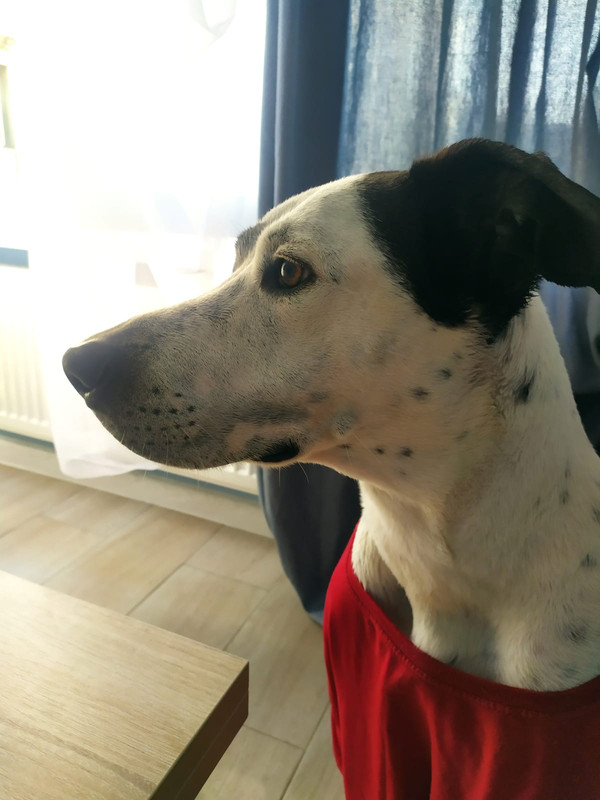 3A98205C-BF5B-40D8-A14F-C1C06F7D1239