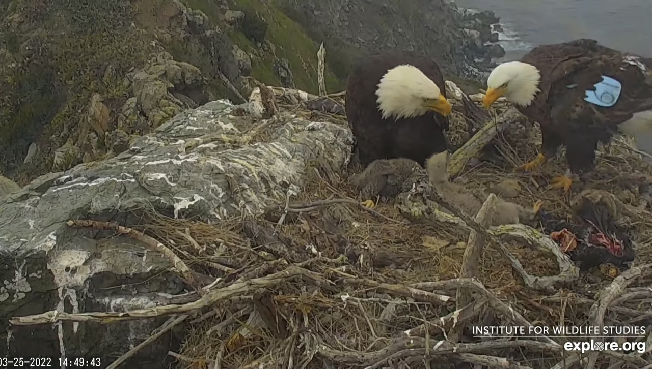 61EC6518-AE6E-46B7-9E7D-32612801F4F7