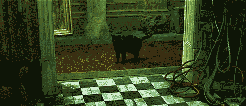 D-j-vu.gif