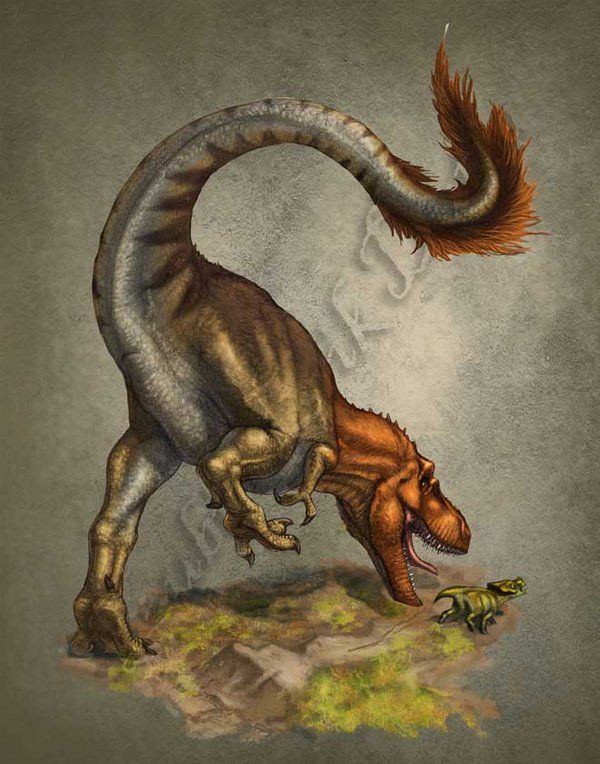 6053453e551abc8db91fc635326caec9