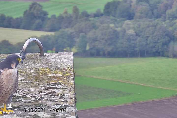campics vanaf 1 juli © VWGGemert en bonusjes van ter plekke - Pagina 35 V11