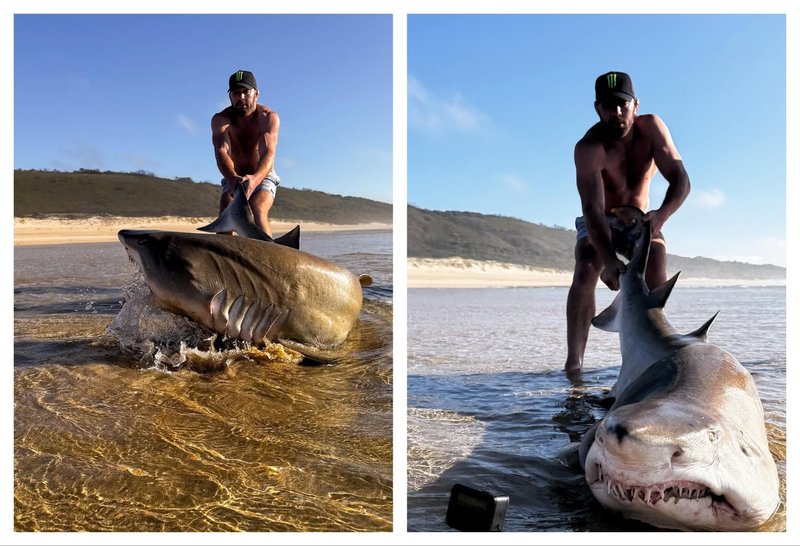 Дрикус дю Плеси спаси акула