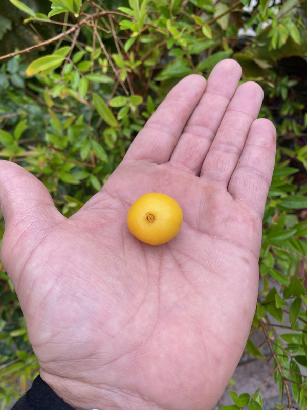 E029A278-0843-4B73-B992-1A104F372572