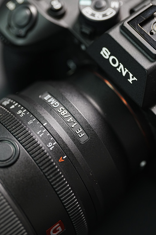 Sony Alpha camera with Sony G Master lens