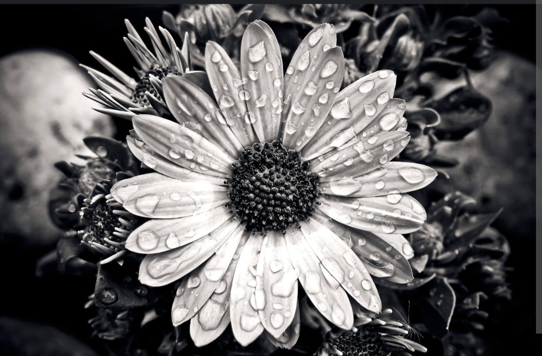 Screenshot_20221124-162108_Chrome