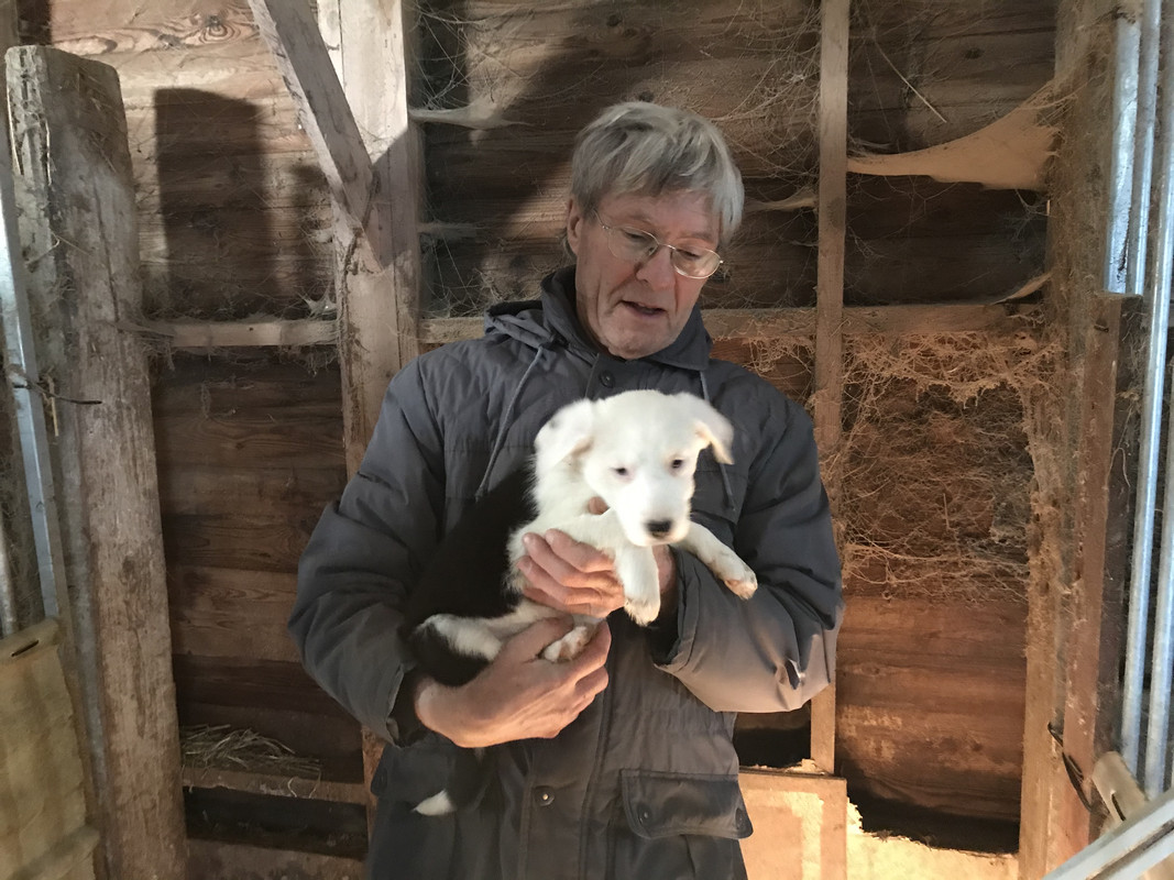 362A4F8A-451B-4758-9289-3DD65F6FAF00