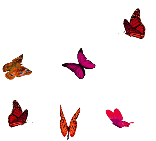 Borboleta animada