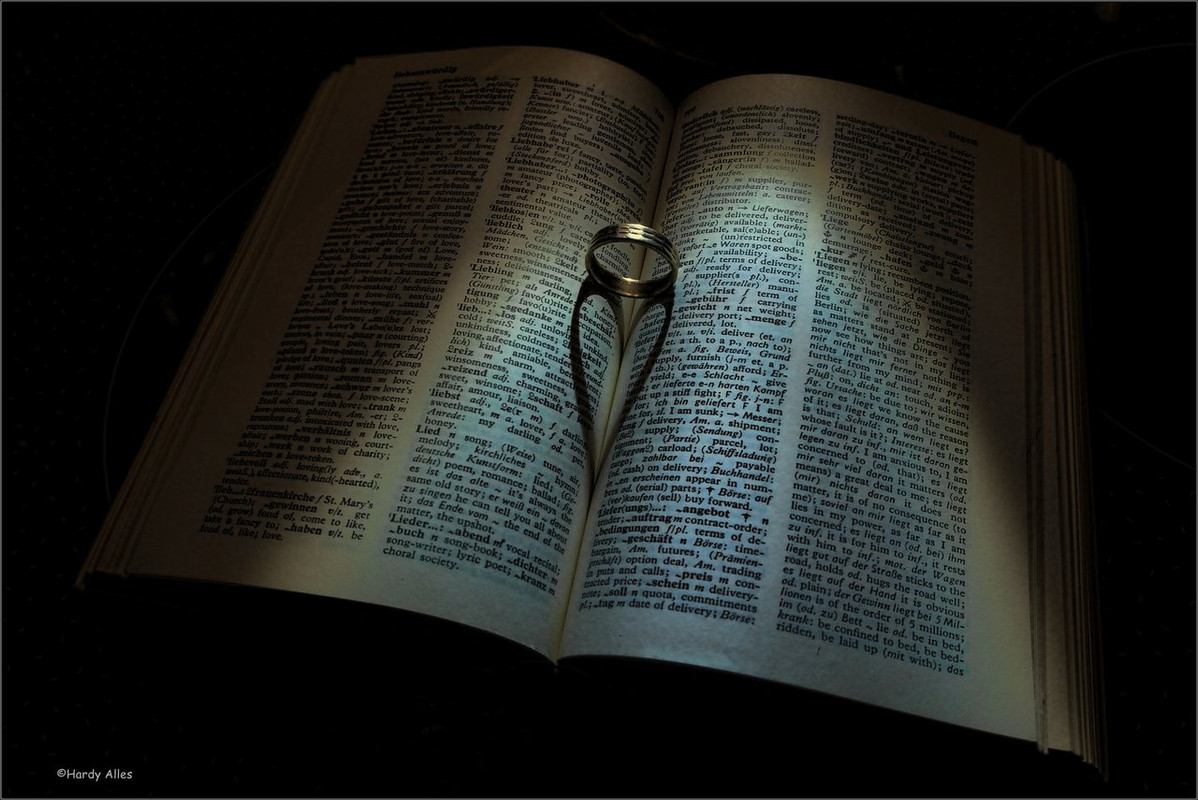 XT4D0121-Bearbeitet Ring Schatten LR ERWZ FB