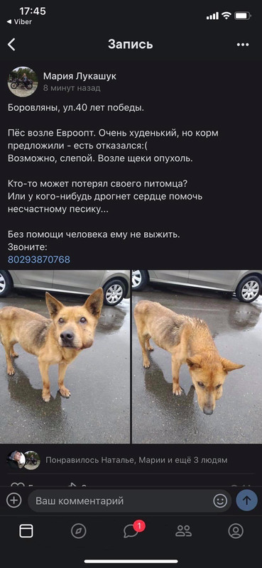 EB04290D-BA97-45F0-A495-8A0B1D19C14B