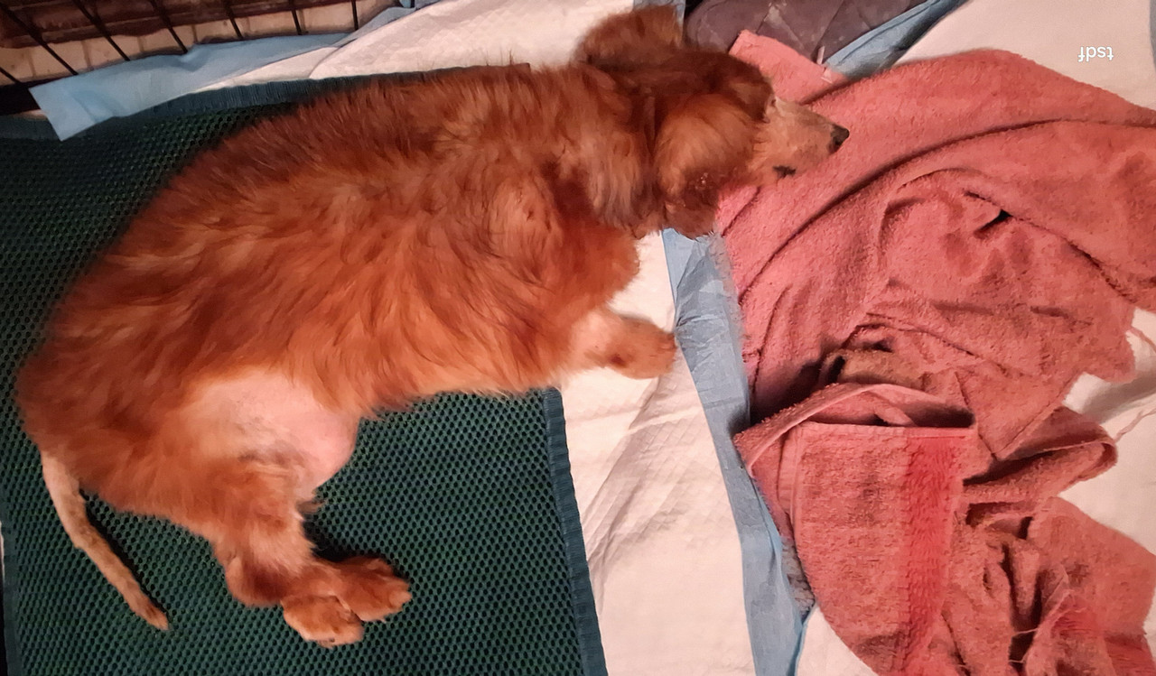 [Image: 20250407-220003.jpg]