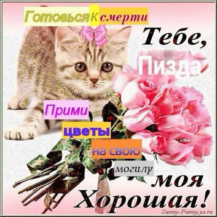 https://i.postimg.cc/52gyJBHn/1858b39e-4317-4eeb-8687-a859223899f0.jpg