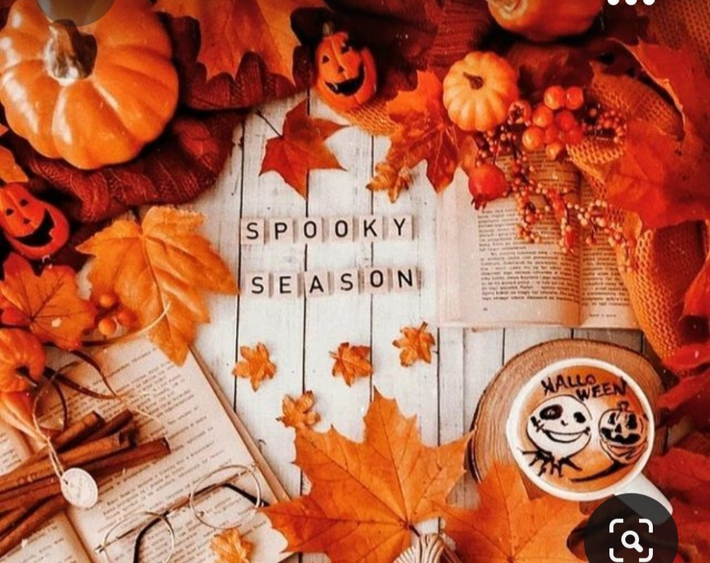 Screenshot_20231008_220820_Pinterest