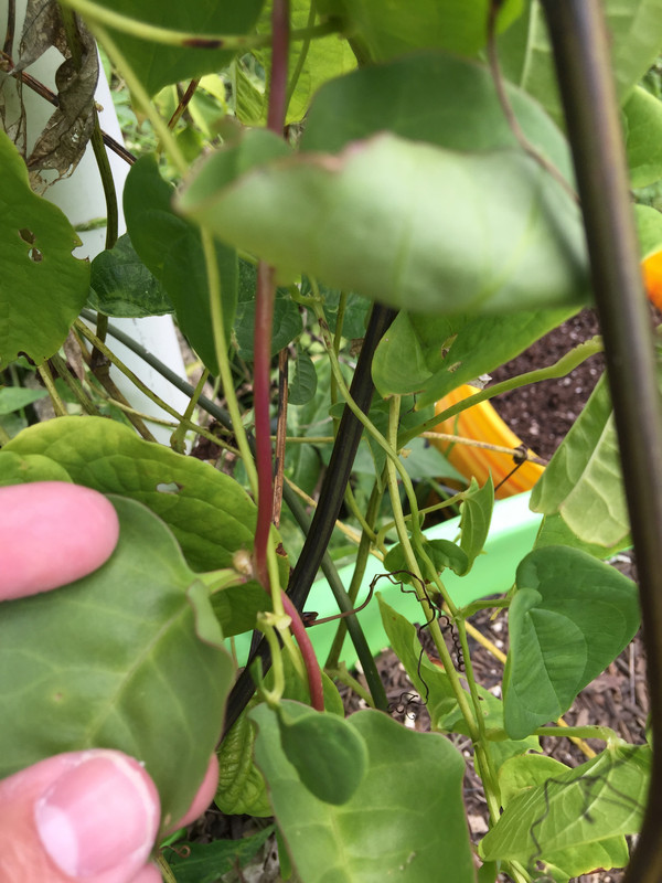 4524000D-3C54-4772-8649-F034503E00A0