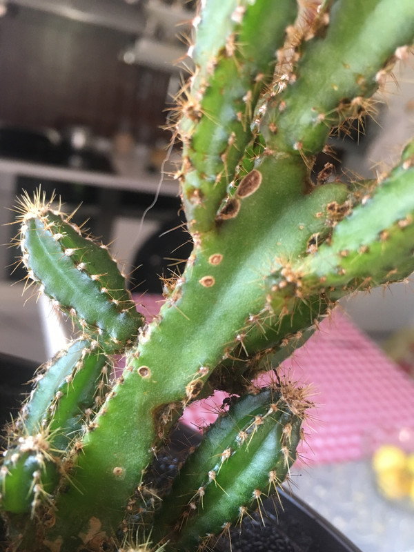 5087385F-A4B6-480E-A0AE-EFD6F290782A