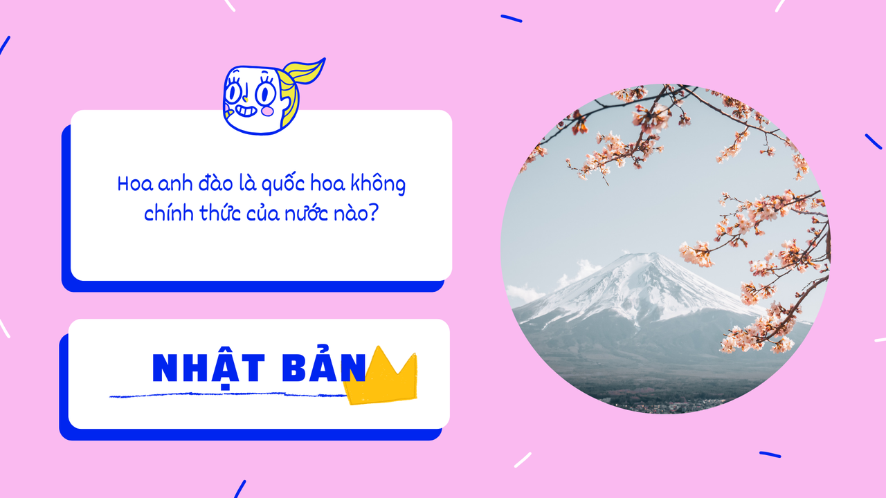 Vàng Xanh dương Hồng Trắng Vui nhộn Trẻ em Ảo Đố vui Bài thuyết trình