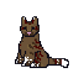 Cat-red-redone.gif