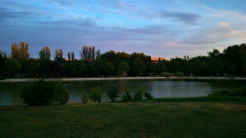 PARQUE ENRIQUE TIERNO GALVAN-2013 AL 2017-MADRID - Paseando por España-1991/2017 (38)