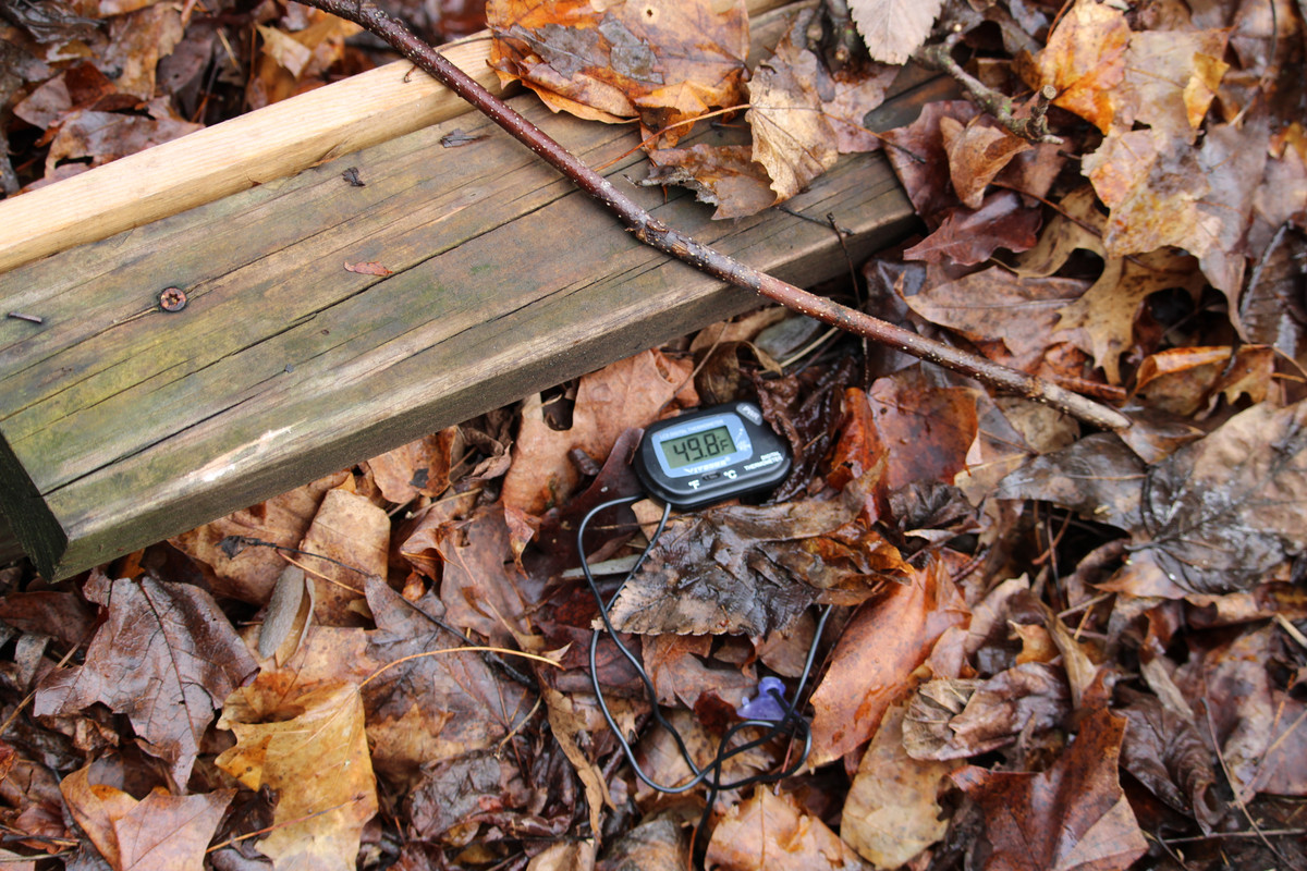 IMG-3236.jpg