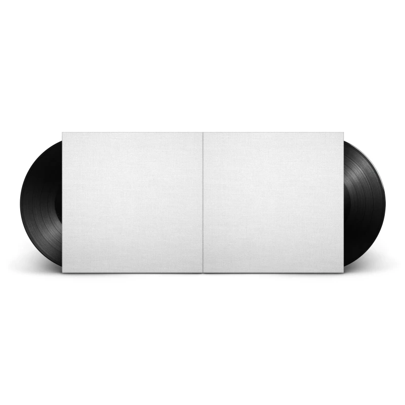 VINYL-4279db89-ce37-4f37-8005-7cd7c1a70d71