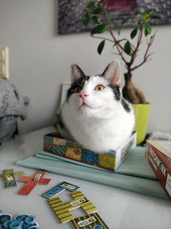 Коробочка - 3