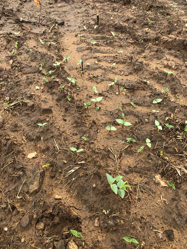 4080D494-452F-4B97-A458-F45773478D7E