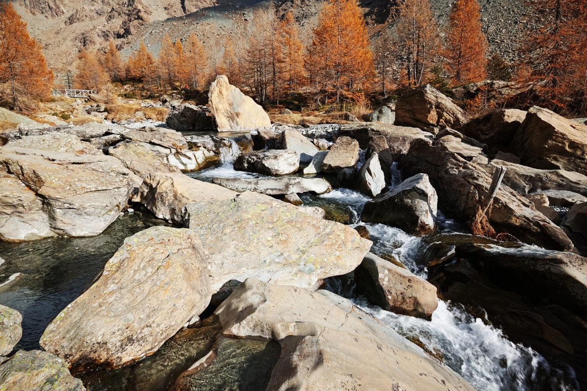 08-DP0Q0595C