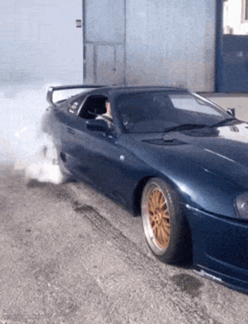 076.gif