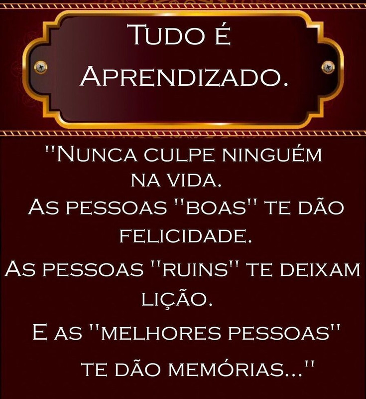 Tudo é Aprendizado