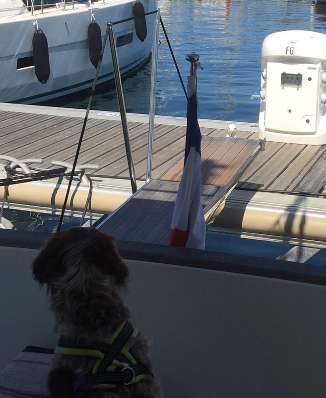 A5DBE7F6-32C0-446A-B2A4-4FE8E21C1ECD