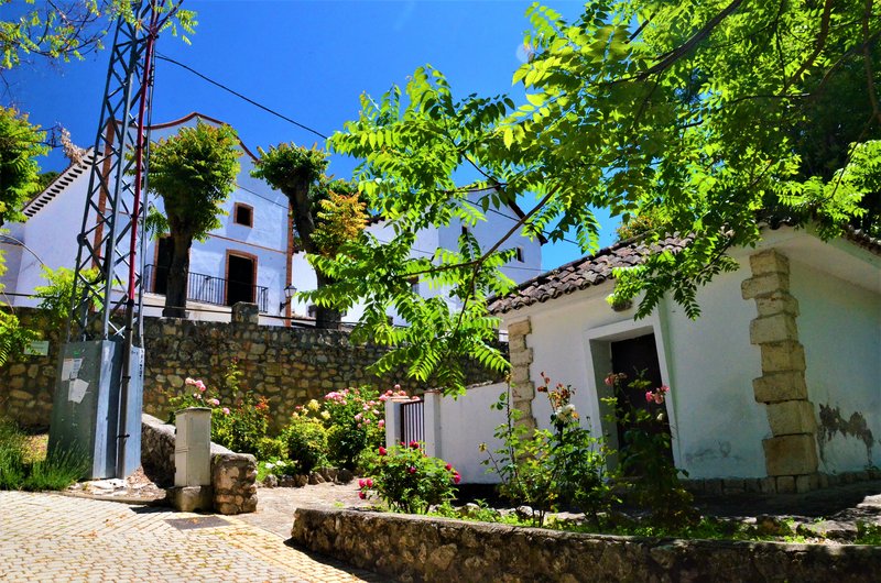 Madrid y sus pueblos-2000/2022 - Blogs of Spain - OLMEDA DE LAS FUENTES-5-6-2020 (79)