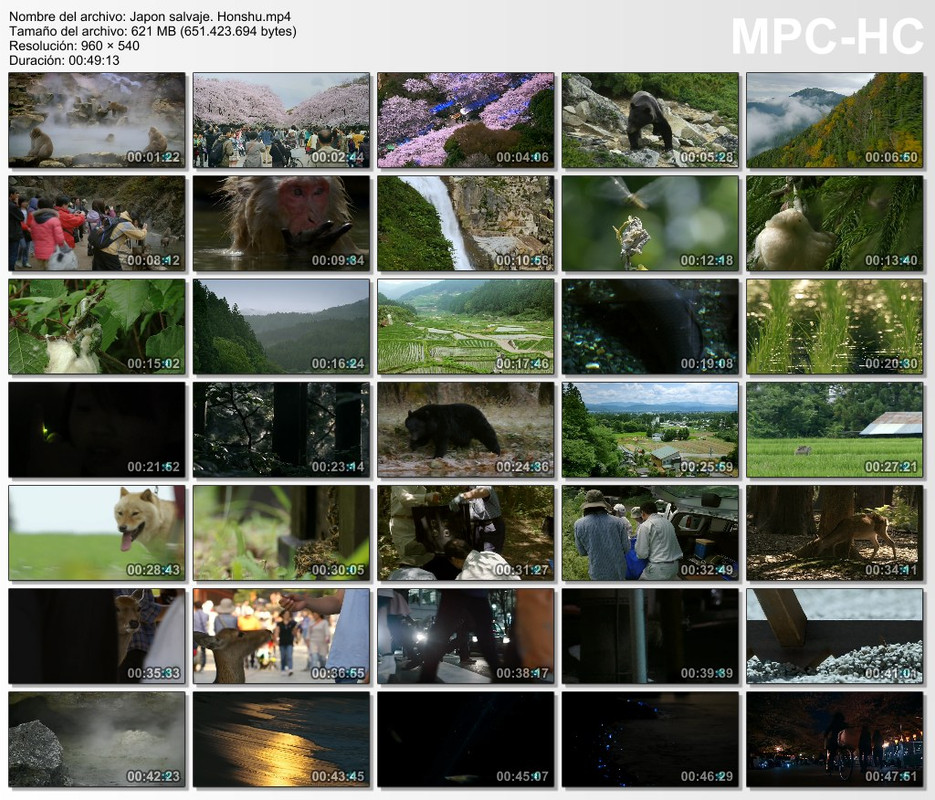Japon Salvaje (2015) WEBDL AAC Español 3-3 Japon Salvaje (2015) WEBDL AAC Español 3-3