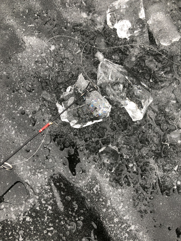 B95FED93-6AEA-4ADA-8301-00547C9E813B