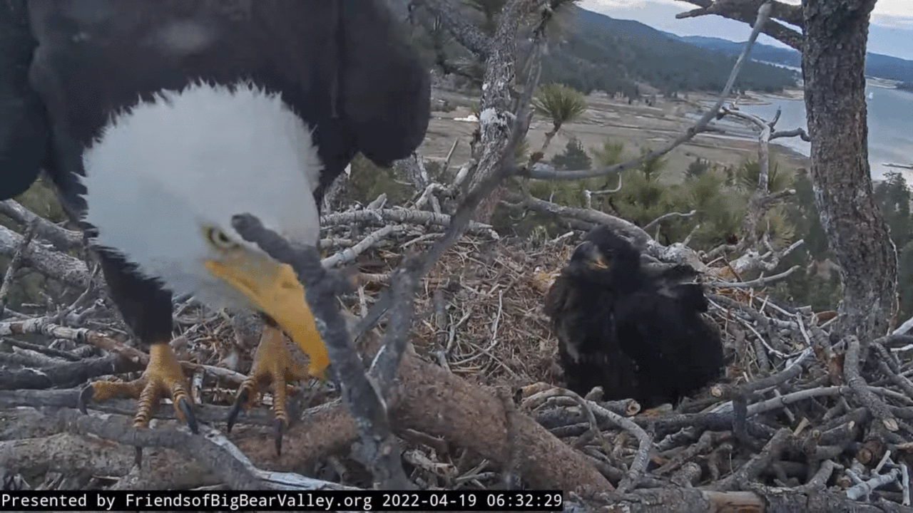 Webp.net-gifmaker (3)