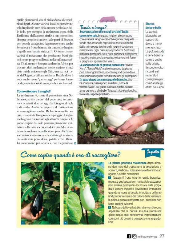 Pol Ver Lug 2024 (4)