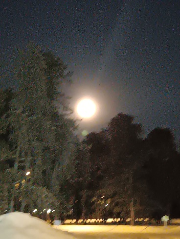 White Waking Moon