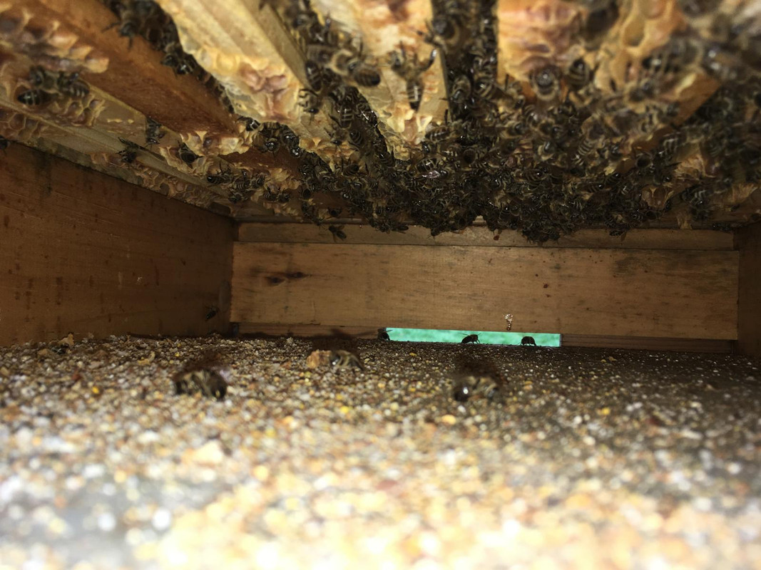 1B27D893-AF69-4E4D-BECA-14FEF562255F