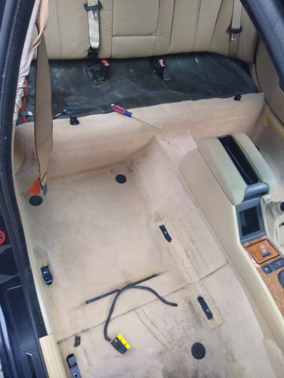 IMG_20200905_113447354 (Medium) - Copy