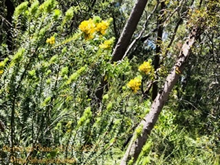 684899-AE-943-D-45-D2-AA24-094-C5-F1-EA3