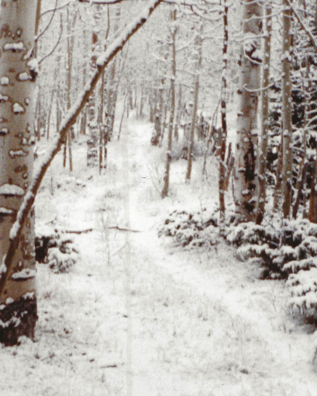 JN pic2Colo. Elk hunt_20220615123823